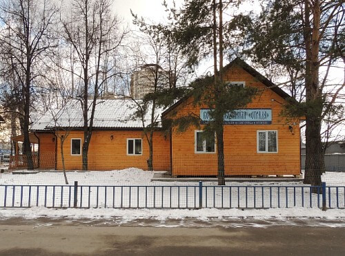 2015 год